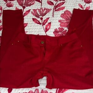 🎄INC Red stretch skinny pants